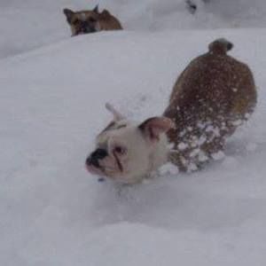 Meet your Posher, Patti